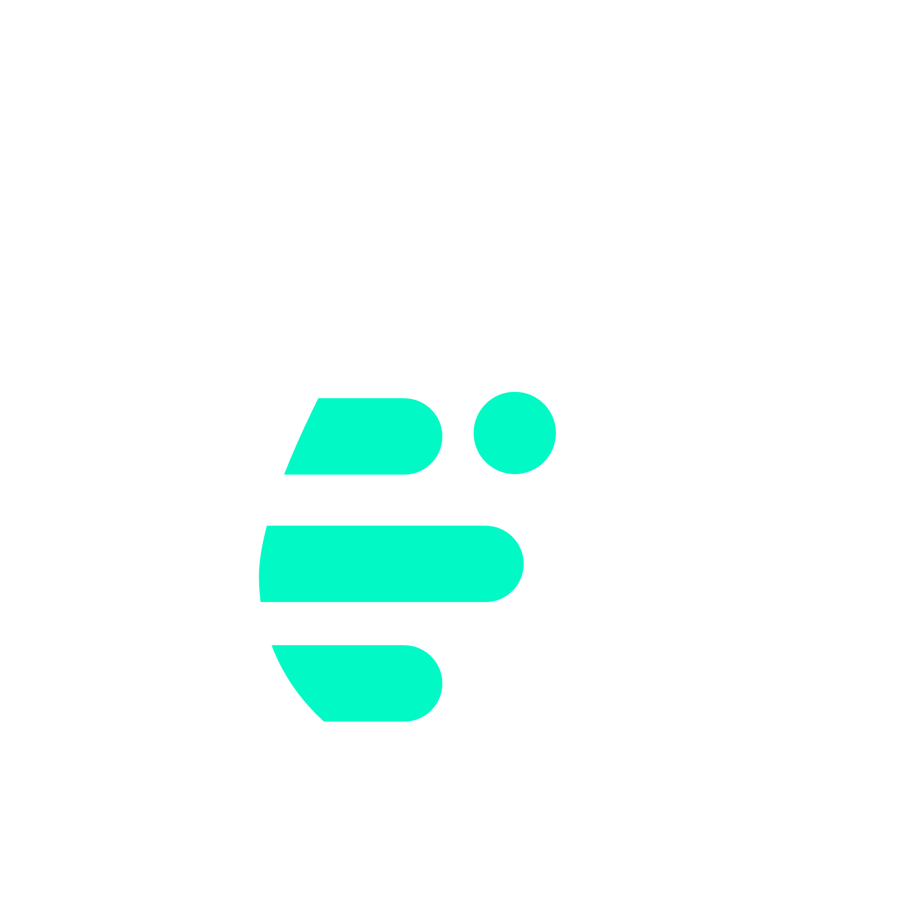 Oil Rag